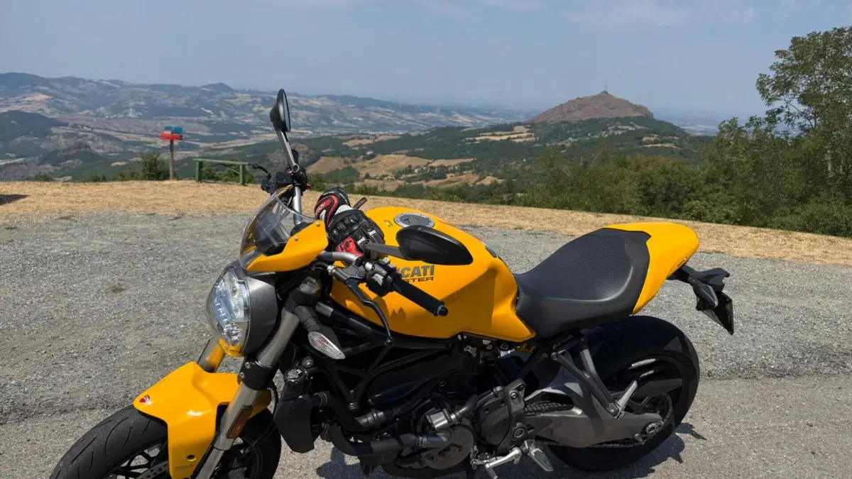 Ducati Monster 821 (2018 - 20)  (2)