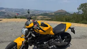 Ducati Monster 821 (2018 - 20)  (2)