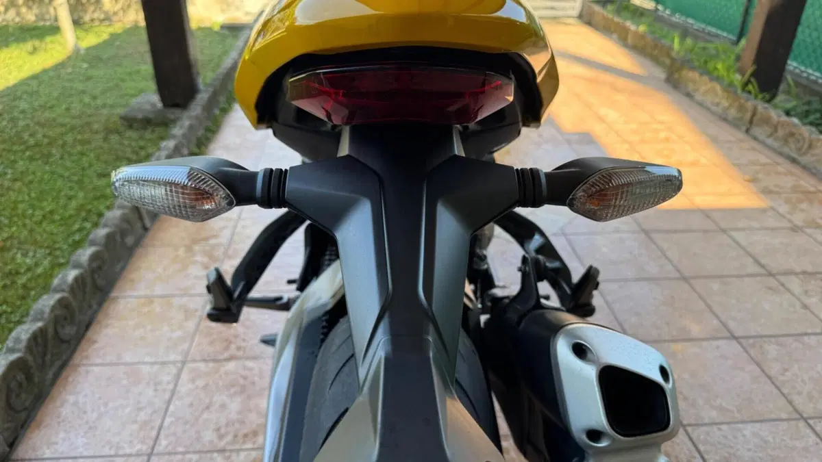 Ducati Monster 821 (2018 - 20)  (4)