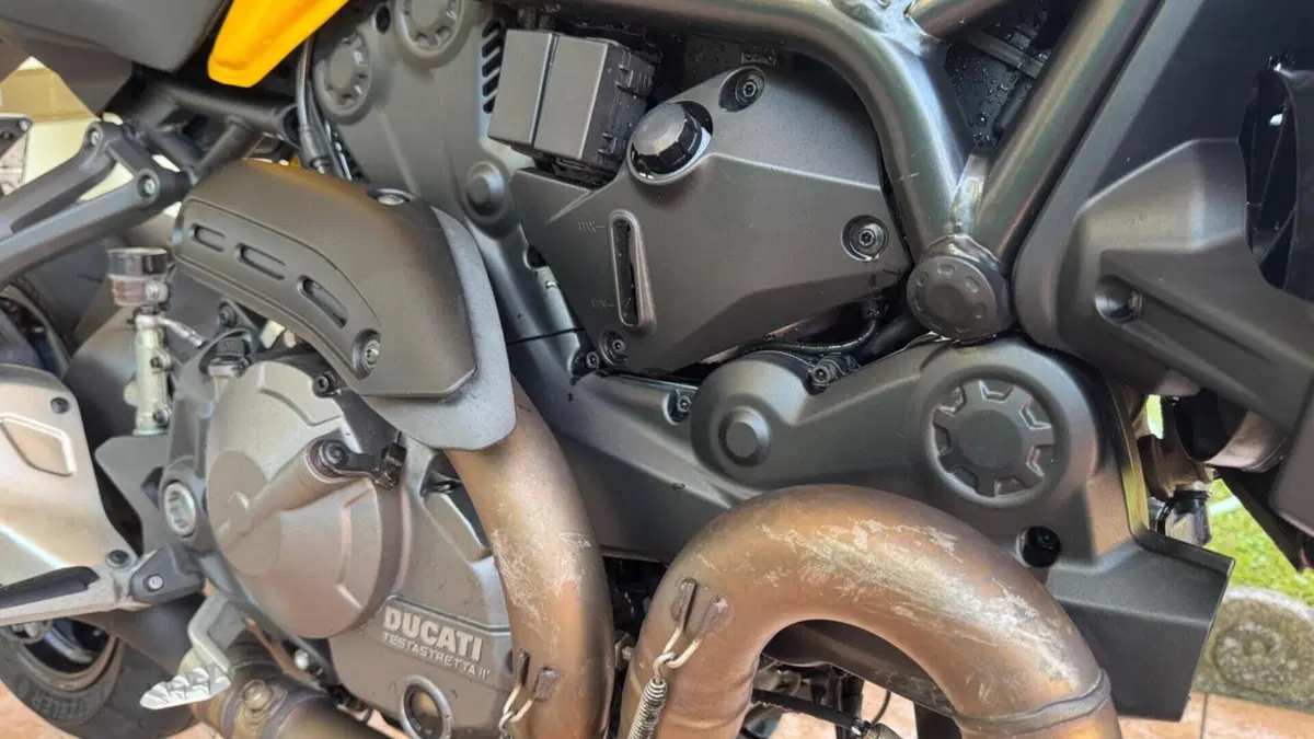 Ducati Monster 821 (2018 - 20)  (6)