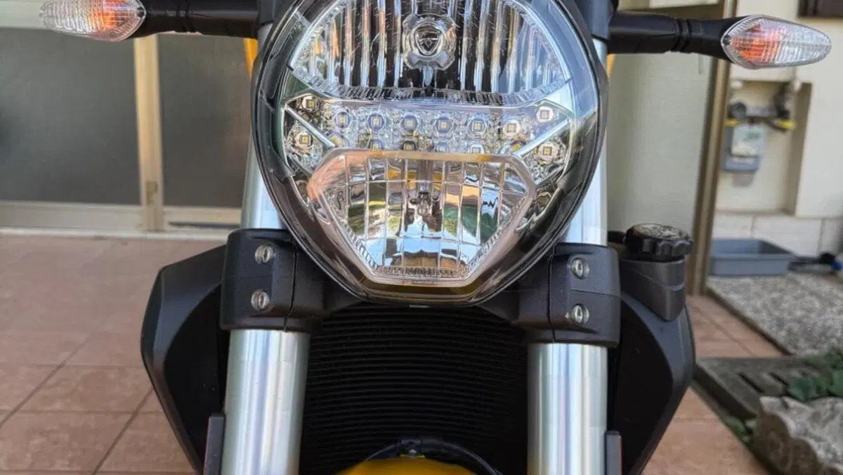 Ducati Monster 821 (2018 - 20)  (8)