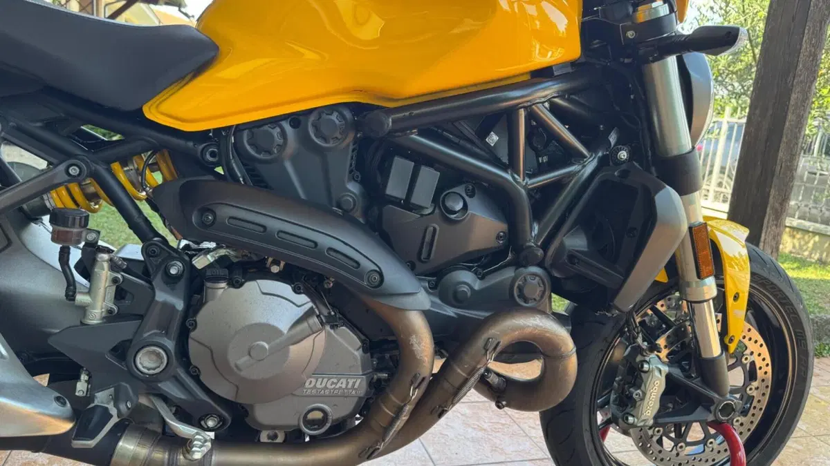 Ducati Monster 821 (2018 - 20)  (9)