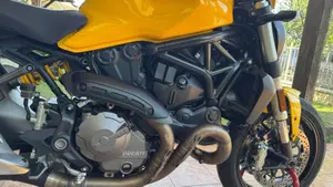 Ducati Monster 821 (2018 - 20)  (9)