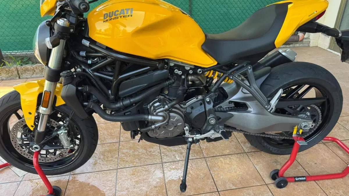 Ducati Monster 821 (2018 - 20)  (10)