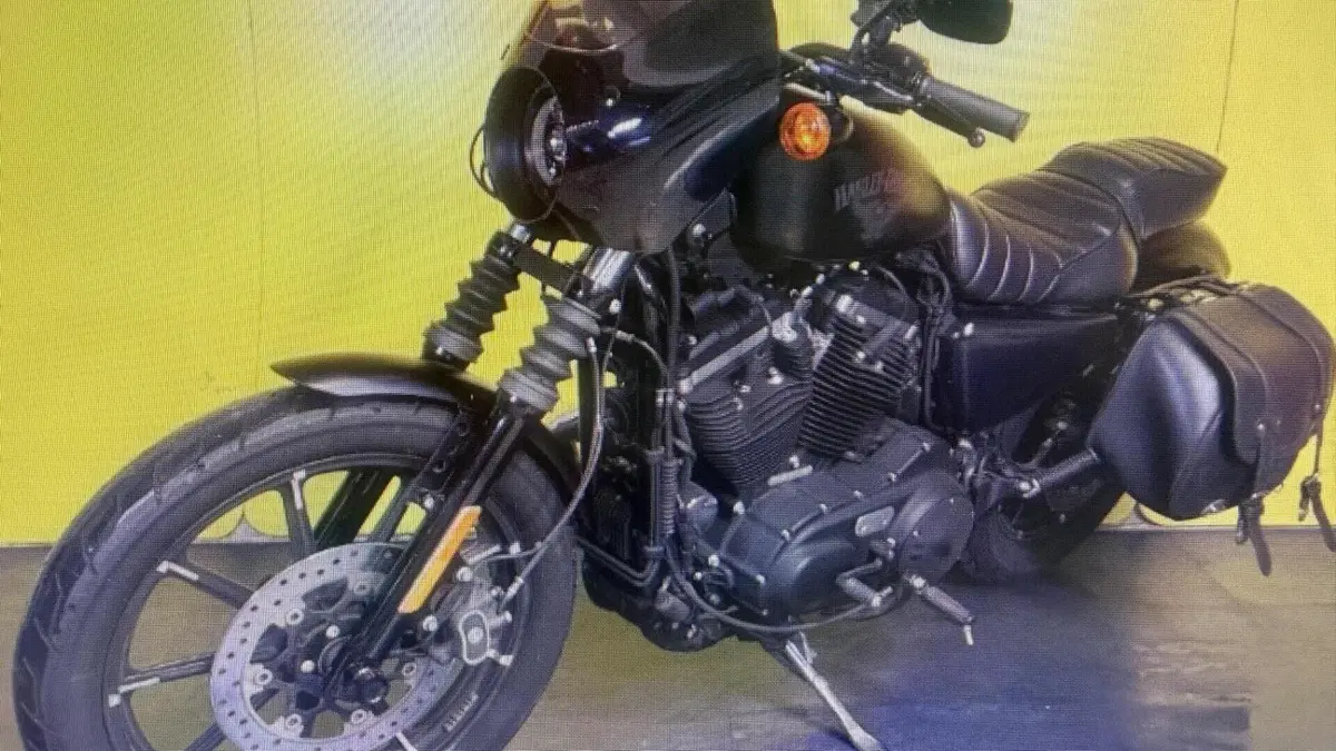 Harley-Davidson 883 Iron (2017 - 20) - XL 883N  (2)