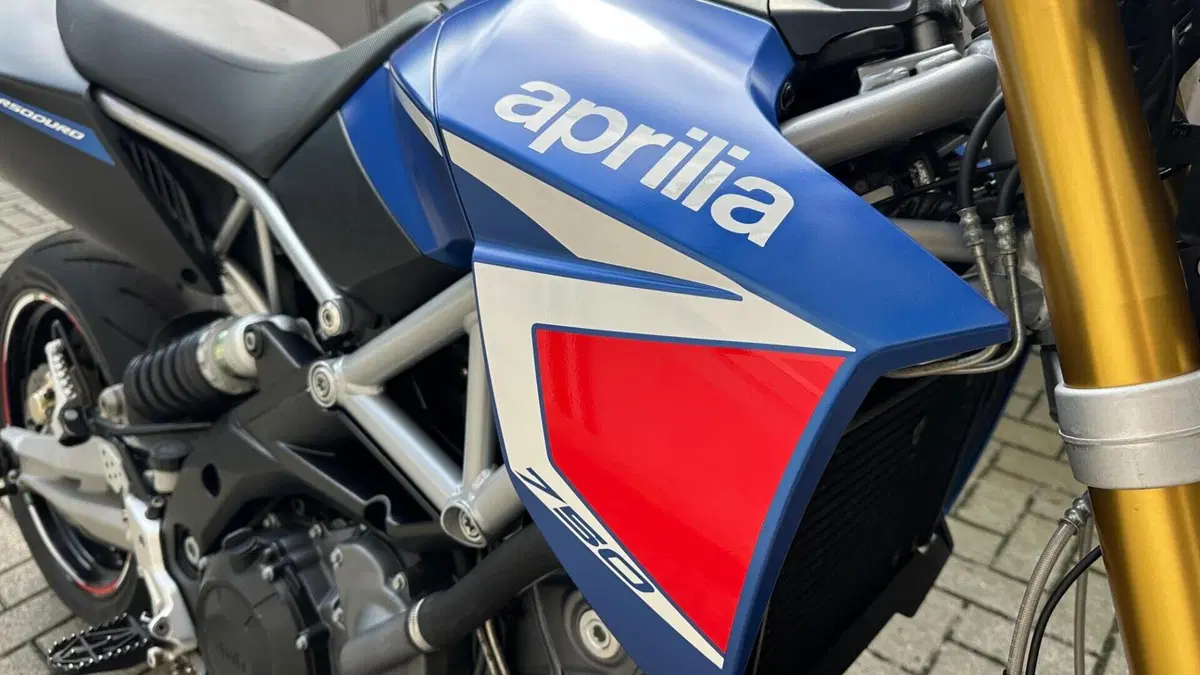 Aprilia Dorsoduro 750 ABS (2009 - 17)  (7)