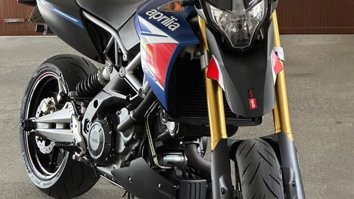 Aprilia Dorsoduro 750 ABS (2009 - 17)  (13)