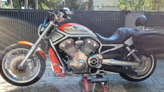 Harley-Davidson 1250 Night Rod Special (2007) - VRSCDX usata