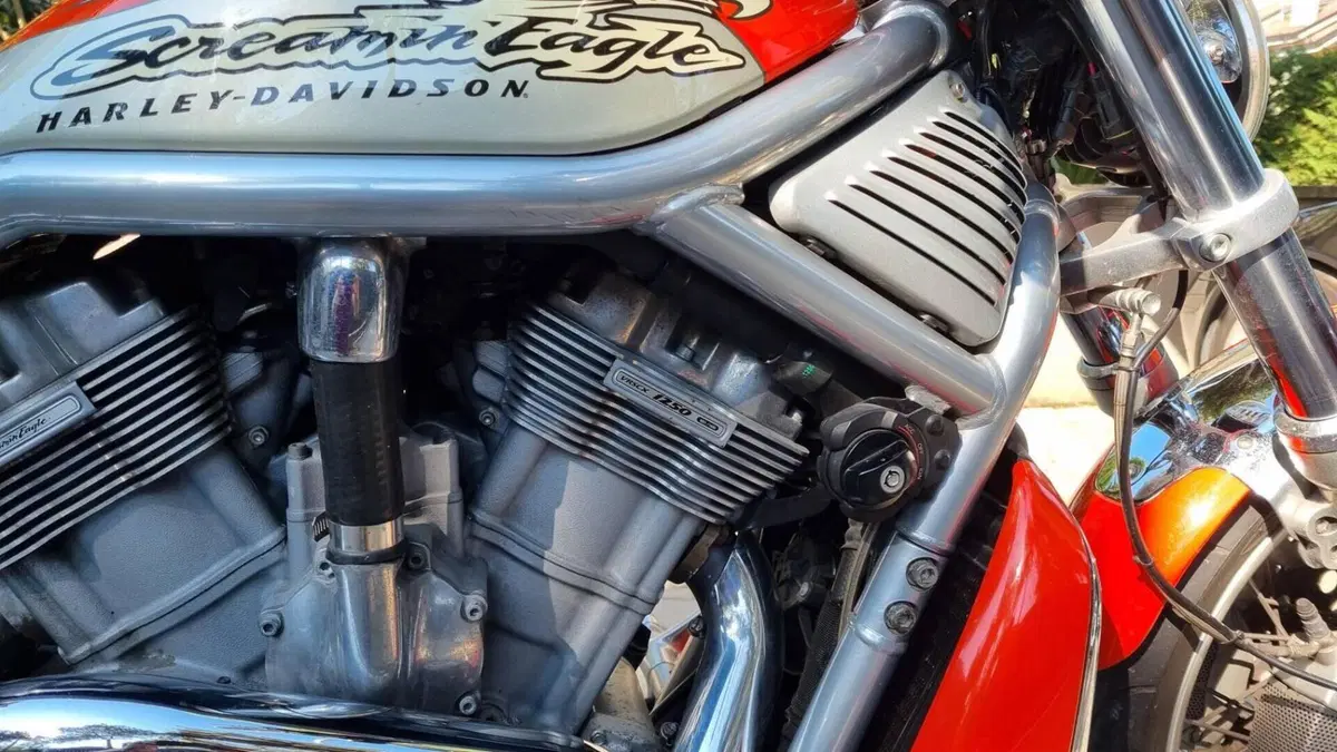 Harley-Davidson 1250 Night Rod Special (2007) - VRSCDX  (6)