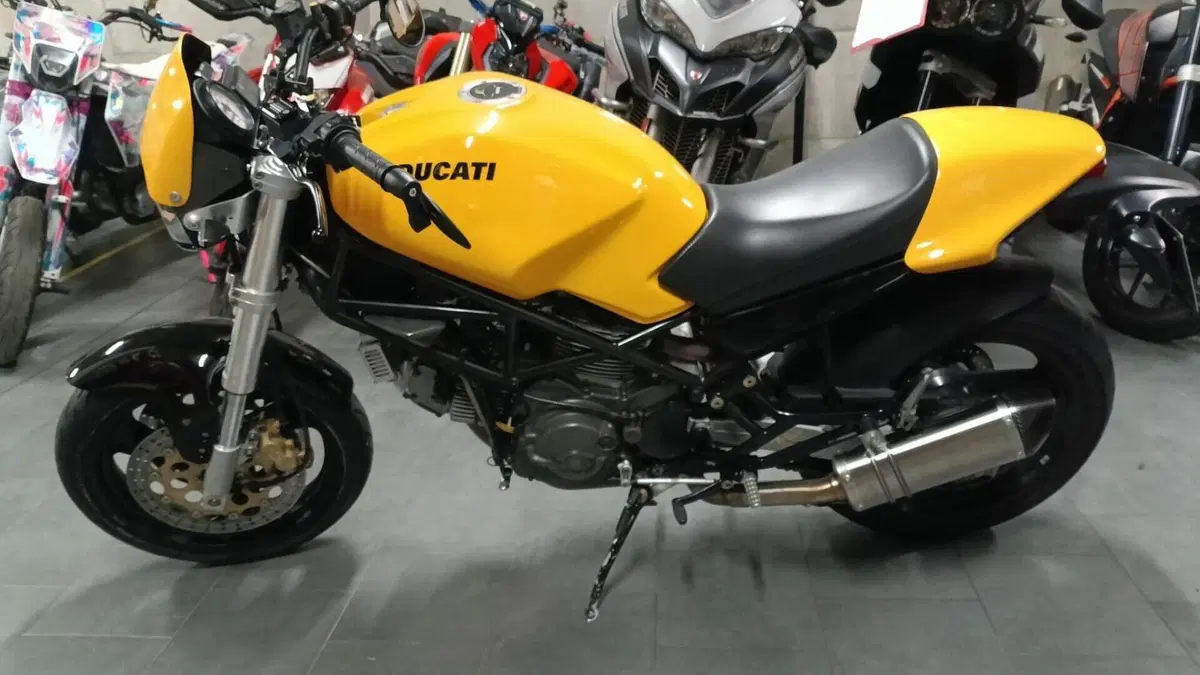 Ducati  