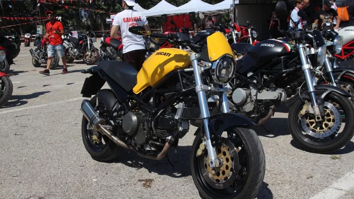 Ducati   (6)