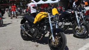 Ducati   (6)