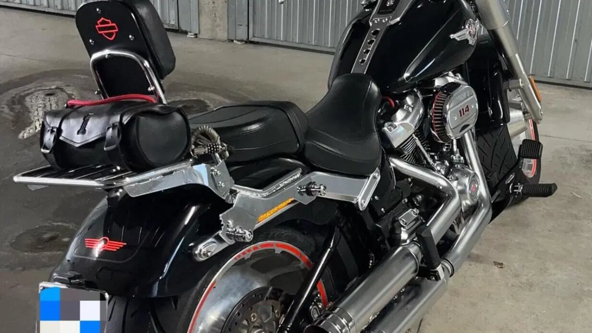 Harley-Davidson 114 Fat Boy (2018 - 20) - FLFBS  (9)
