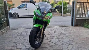 Kawasaki ER-6F (2009 - 11)  (4)