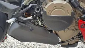 Ducati Streetfighter V4 S (2023 - 24)  (7)