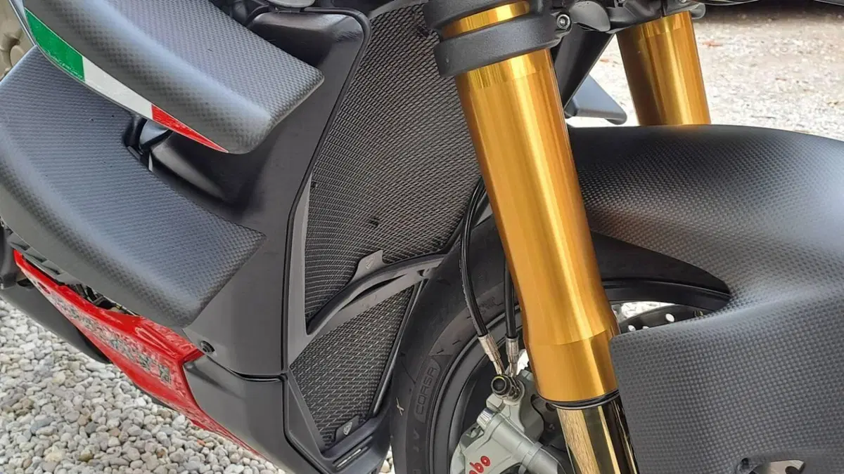 Ducati Streetfighter V4 S (2023 - 24)  (12)