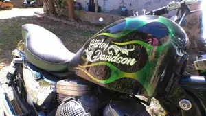 Harley-Davidson 883 Standard (1994 - 00) - XLH  (3)