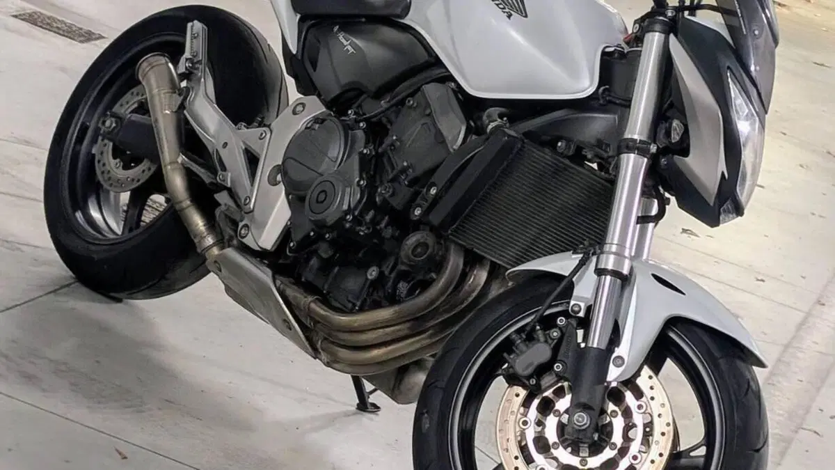 Honda Hornet 600 ABS (2011 - 13)  (18)
