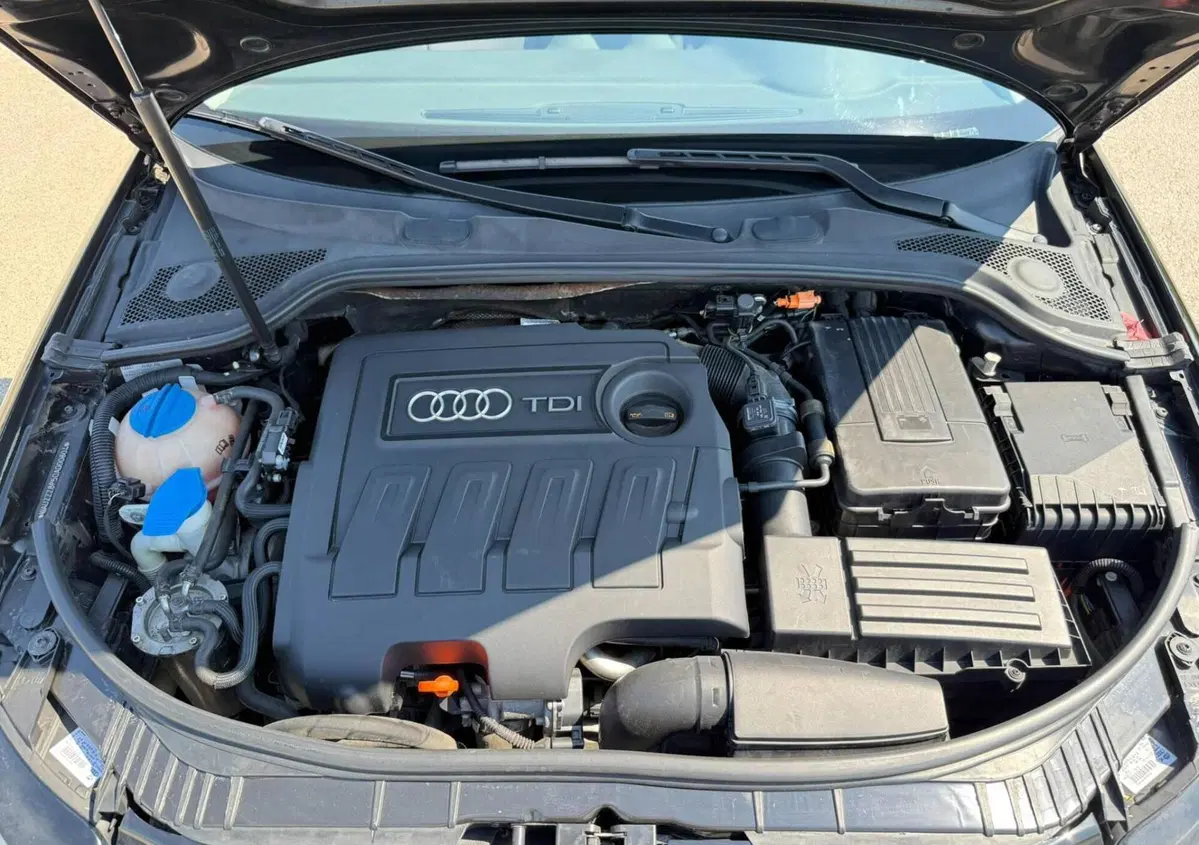 Audi A3 Sportback 1.6 TDI 105 CV CR S tronic Ambition (18)