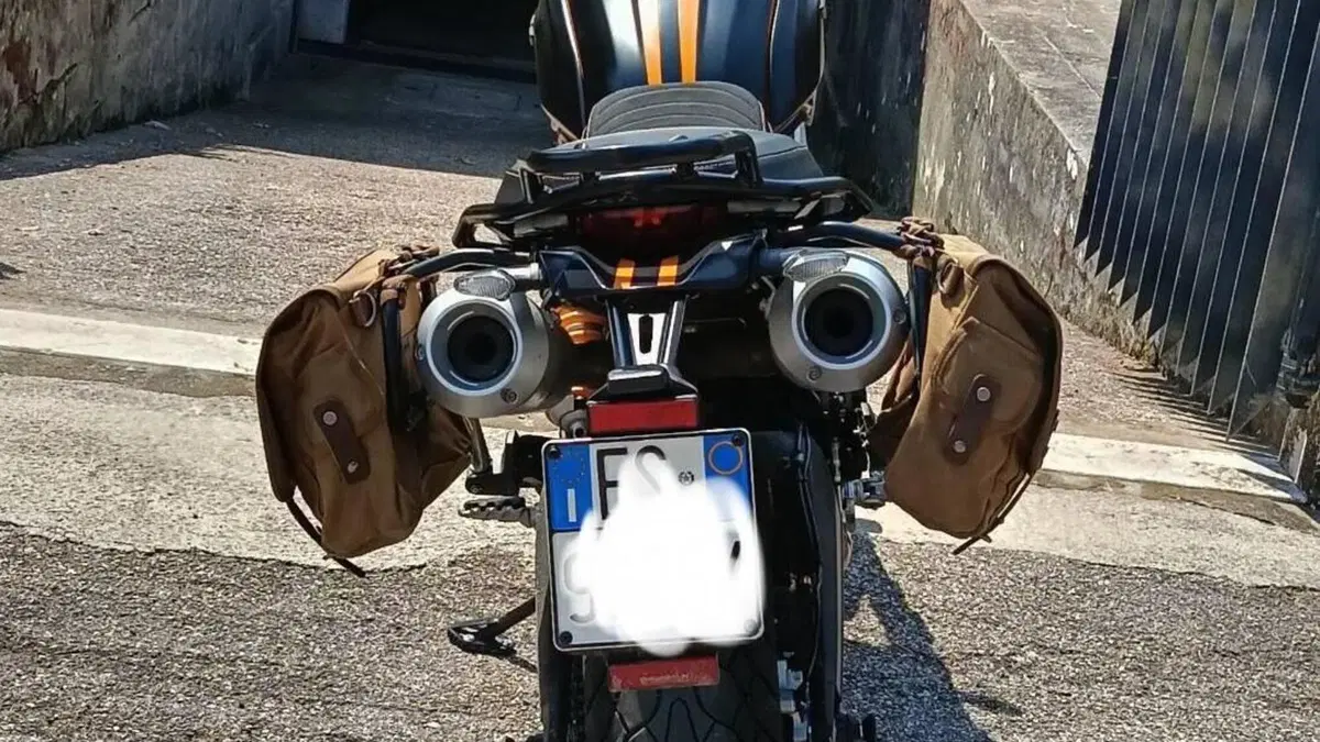 Ducati Scrambler 1100 Sport (2018 - 20)  (3)