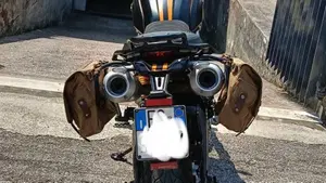 Ducati Scrambler 1100 Sport (2018 - 20)  (3)
