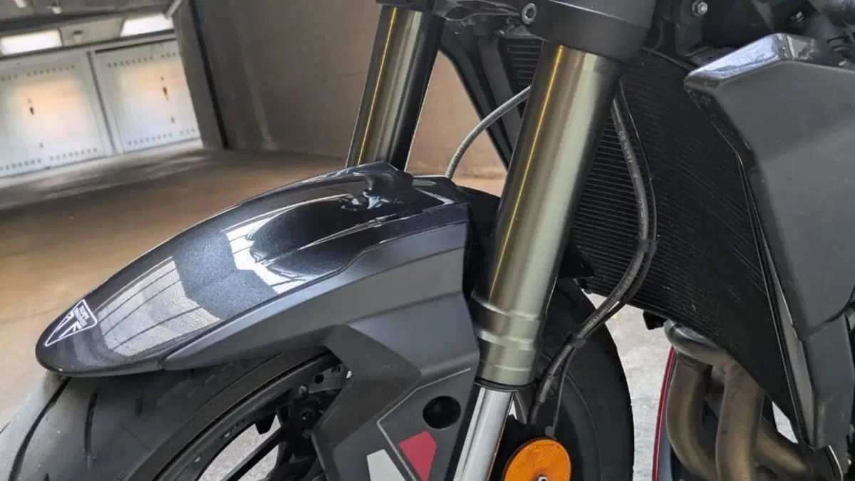Triumph Street Triple 765 RS (2023 - 26)  (19)