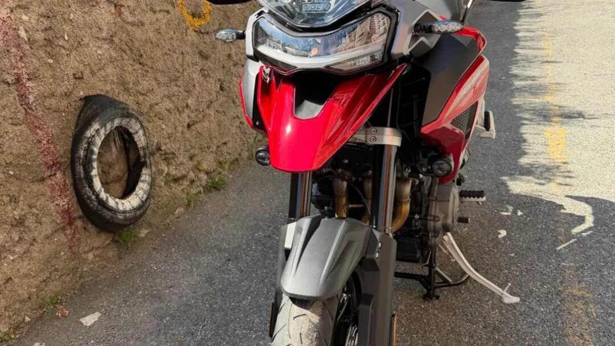 Triumph Tiger 1200 GT Pro (2024 - 26)  (3)