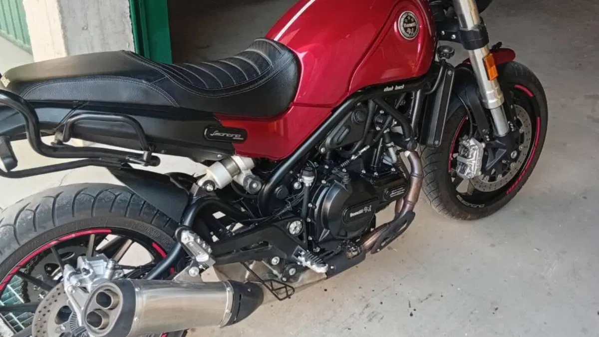 Benelli Leoncino 500 (2021 - 25) 