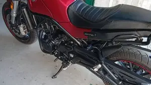 Benelli Leoncino 500 (2021 - 25)  (2)