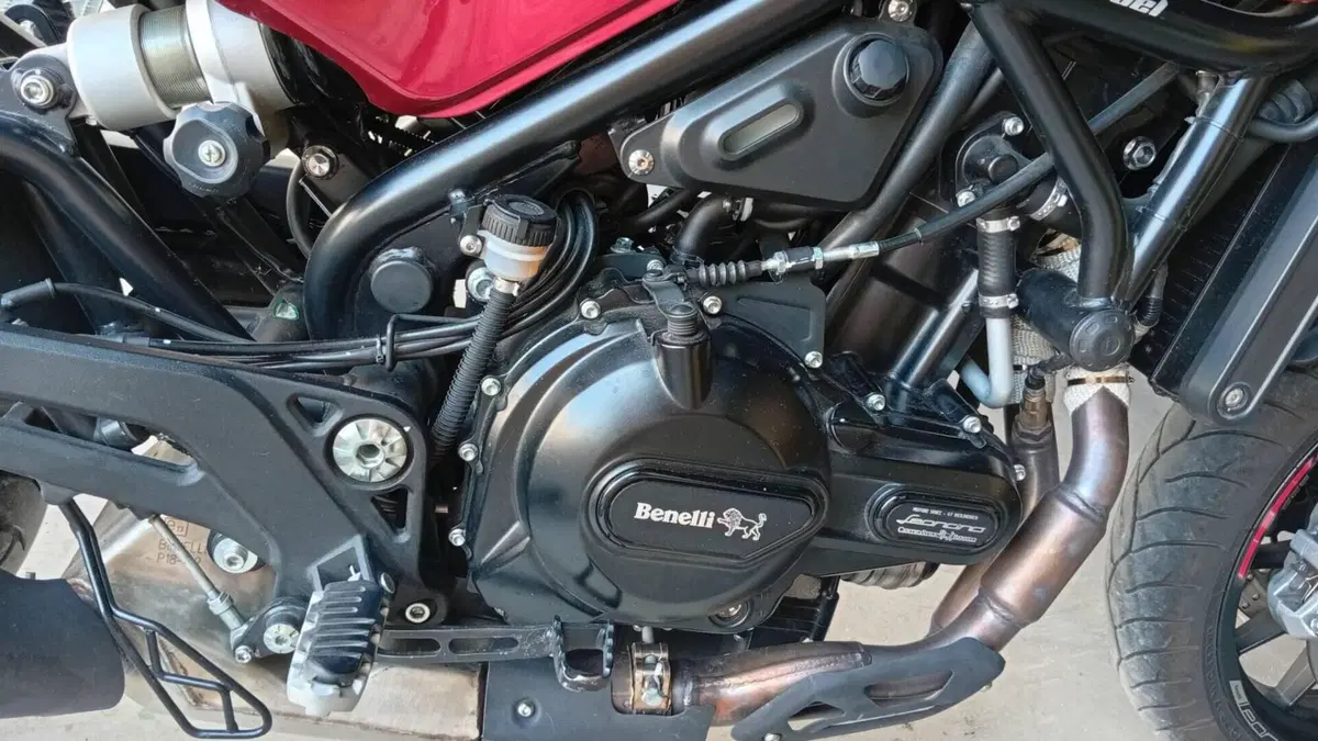 Benelli Leoncino 500 (2021 - 25)  (3)