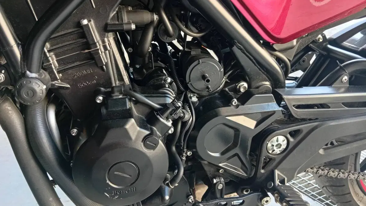 Benelli Leoncino 500 (2021 - 25)  (4)