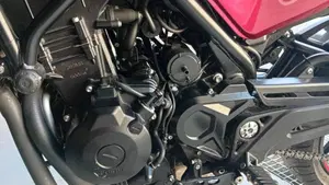 Benelli Leoncino 500 (2021 - 25)  (4)