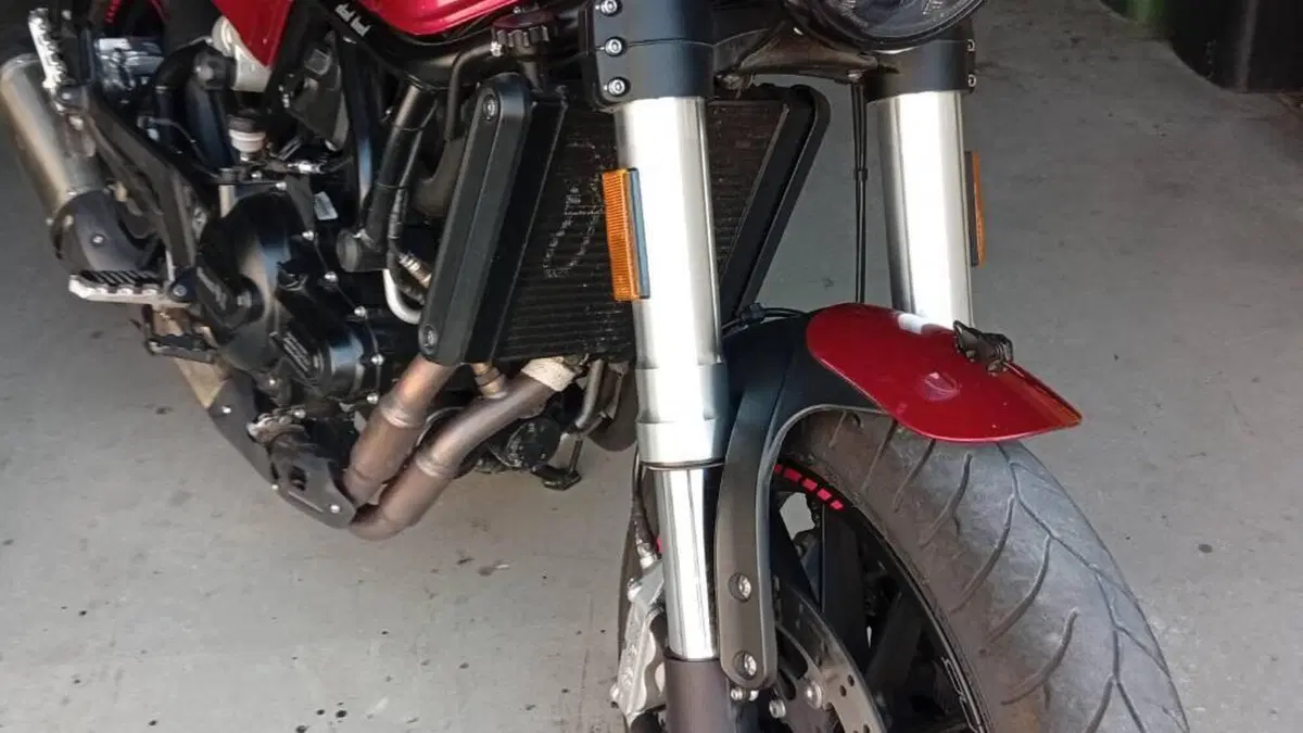 Benelli Leoncino 500 (2021 - 25)  (5)