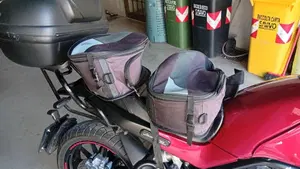 Benelli Leoncino 500 (2021 - 25)  (6)
