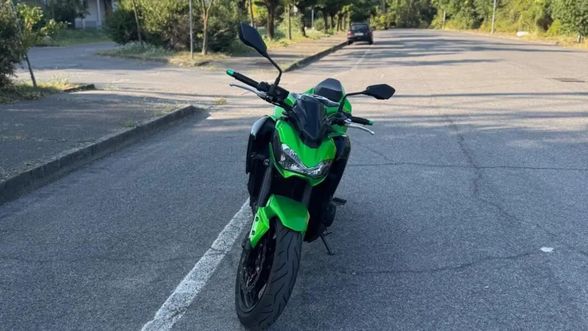 Kawasaki Z 900 (2017 - 18)  (2)