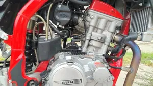 Swm RS 125 R (2017 - 20)  (2)