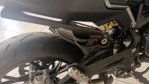 Benelli Leoncino 800 (2022 - 26)  (4)