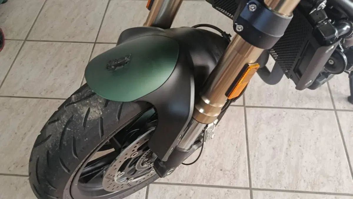 Benelli Leoncino 800 (2022 - 26)  (6)