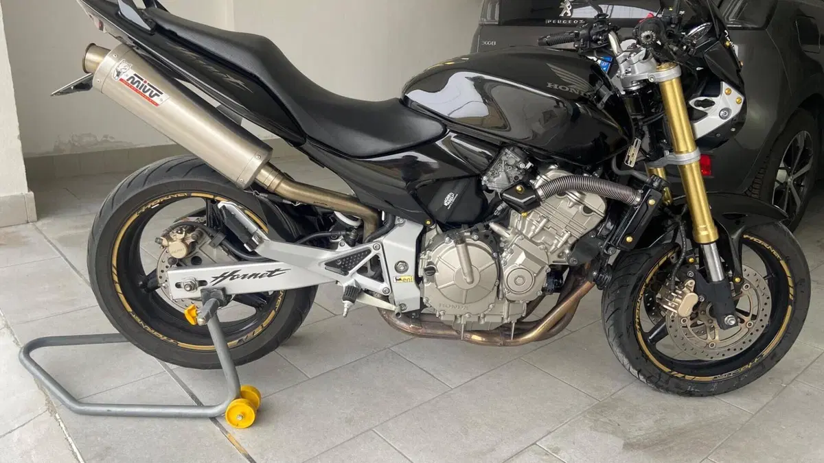 Honda Hornet 600 (2005 - 06)  (5)