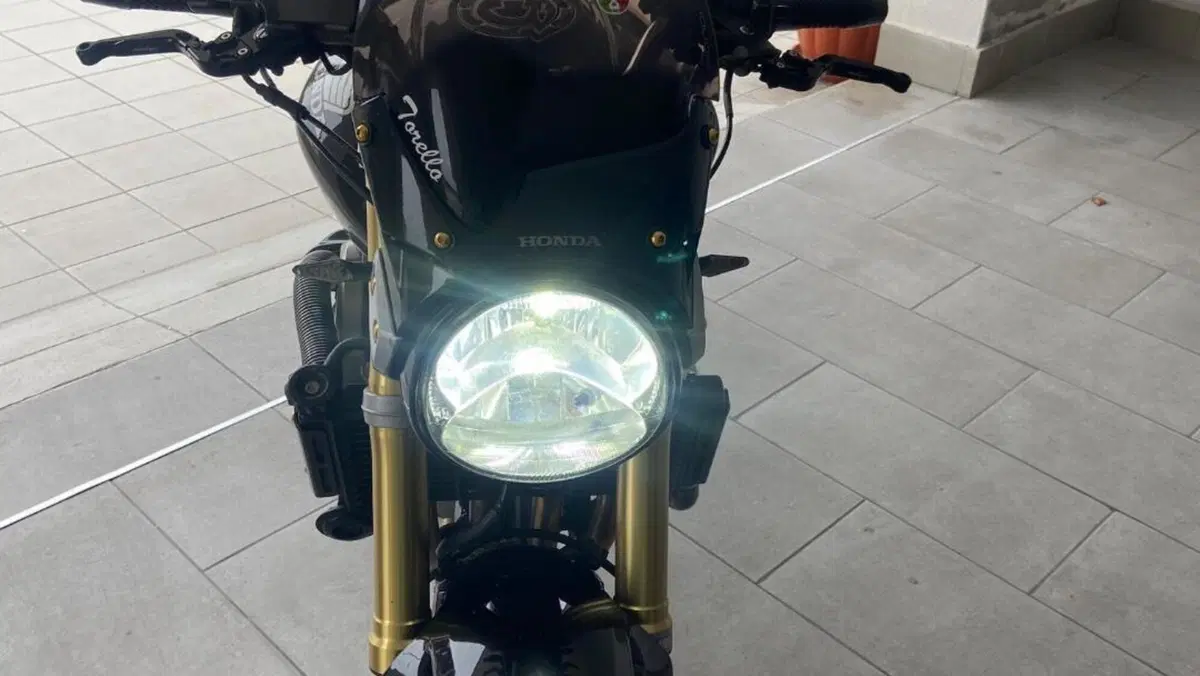Honda Hornet 600 (2005 - 06)  (6)