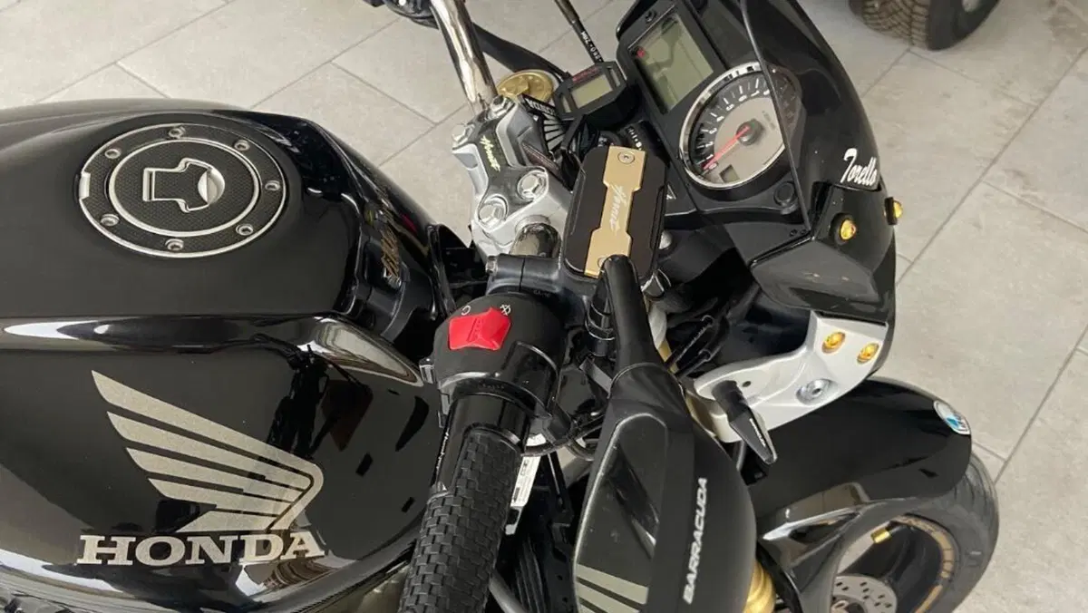 Honda Hornet 600 (2005 - 06)  (11)
