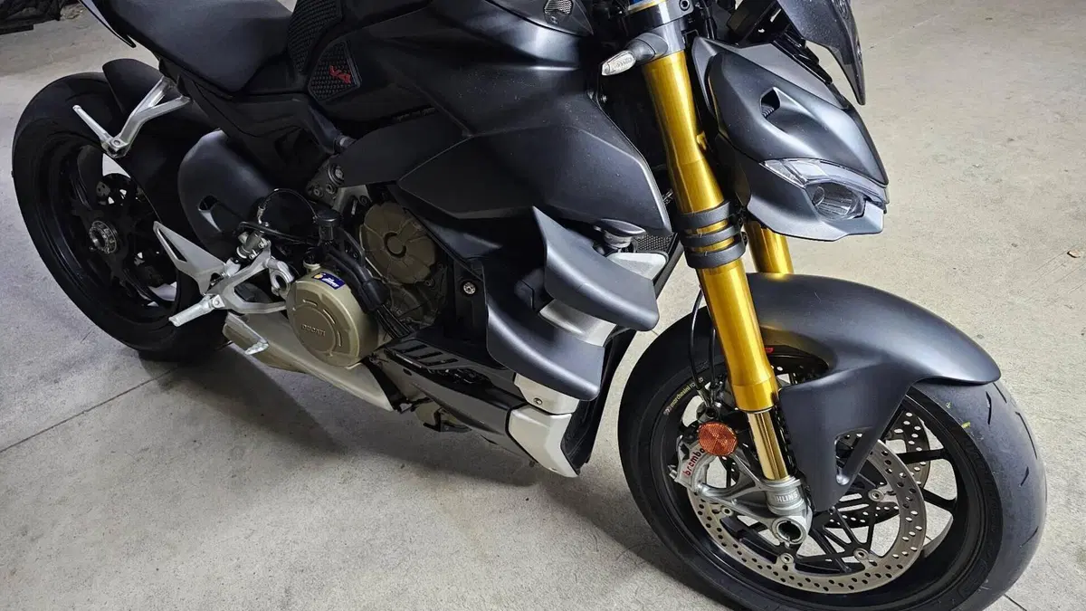 Ducati Streetfighter V4 1100 S (2021 - 22)  (11)