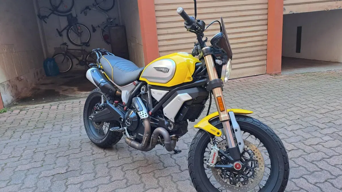 Ducati Scrambler 1100 Special (2018 - 20)  (6)