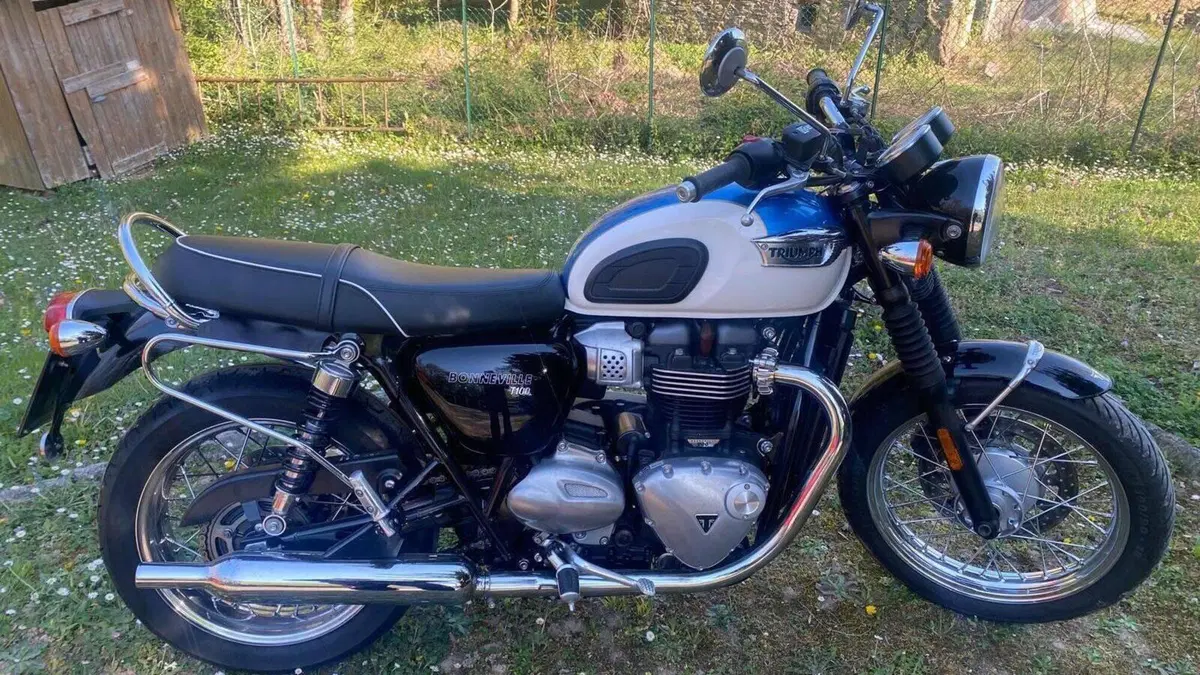 Triumph Bonneville T100 (2017 - 20)  (3)