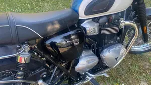 Triumph Bonneville T100 (2017 - 20)  (9)