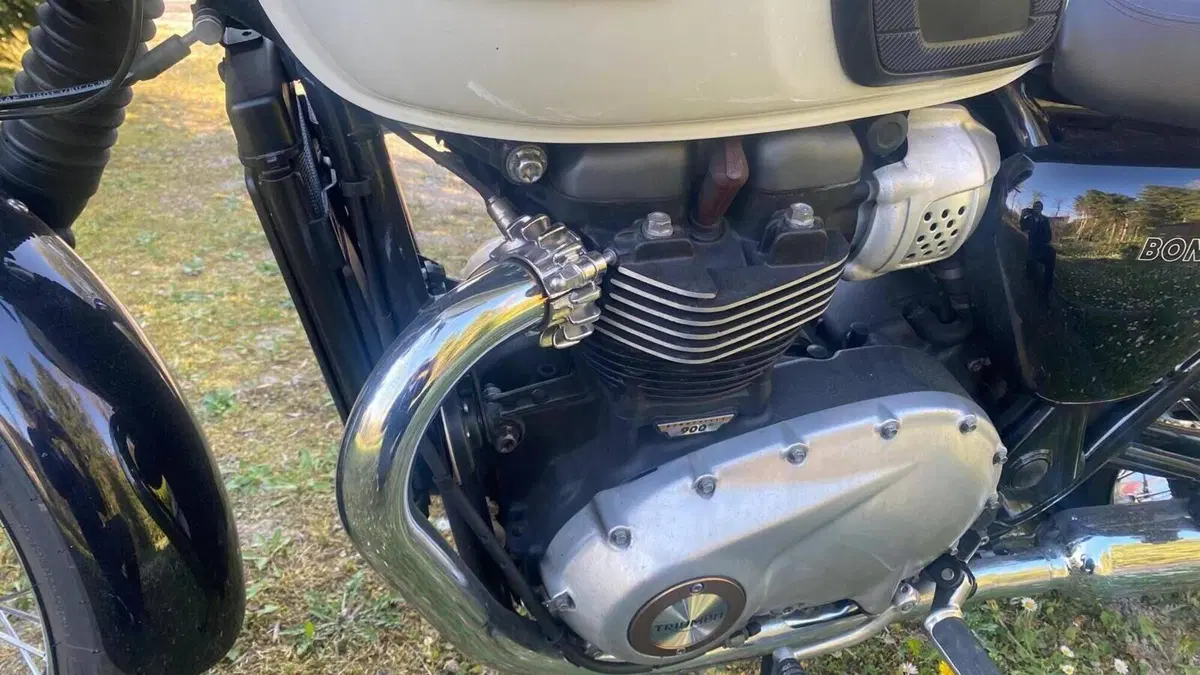 Triumph Bonneville T100 (2017 - 20)  (10)