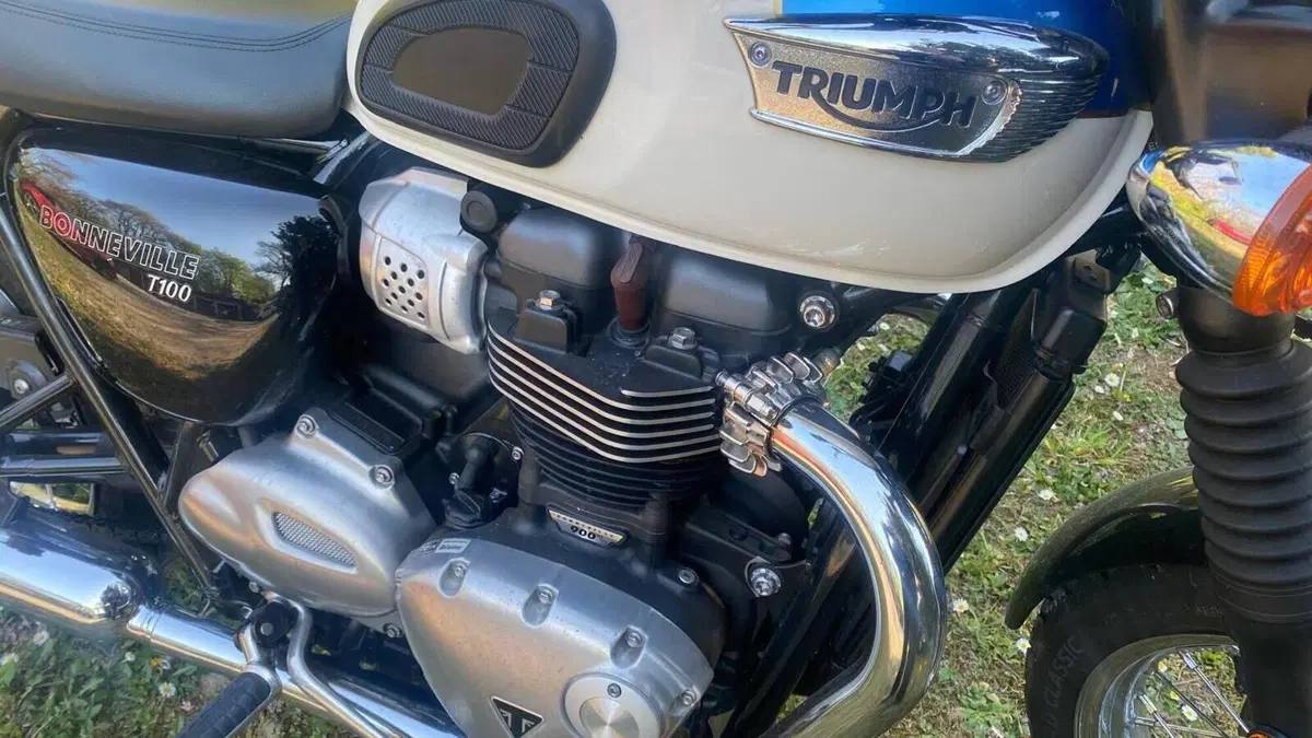Triumph Bonneville T100 (2017 - 20)  (12)