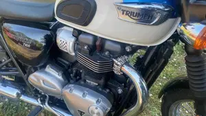 Triumph Bonneville T100 (2017 - 20)  (12)