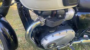 Triumph Bonneville T100 (2017 - 20)  (17)