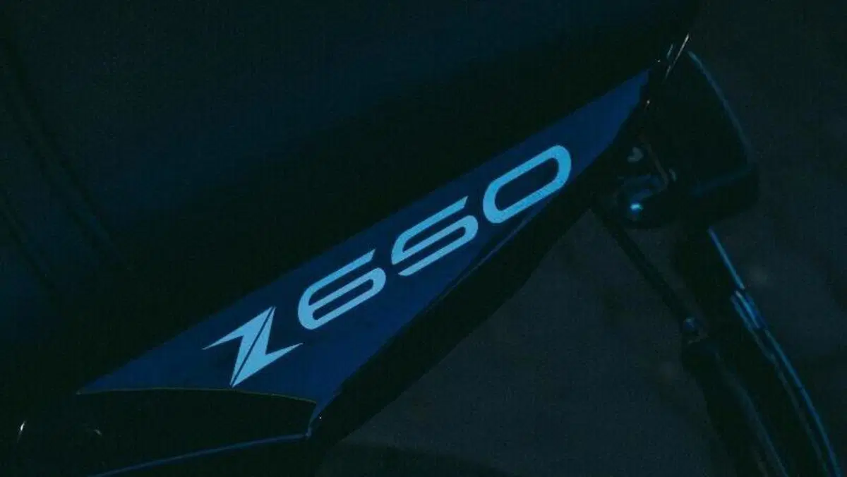 Kawasaki Z 650 (2017 - 19)  (10)